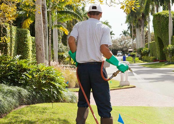 About Martha KY Pest Control